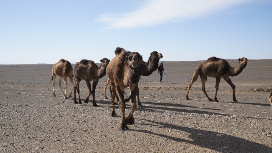 Maroko – dzień&nbsp;4